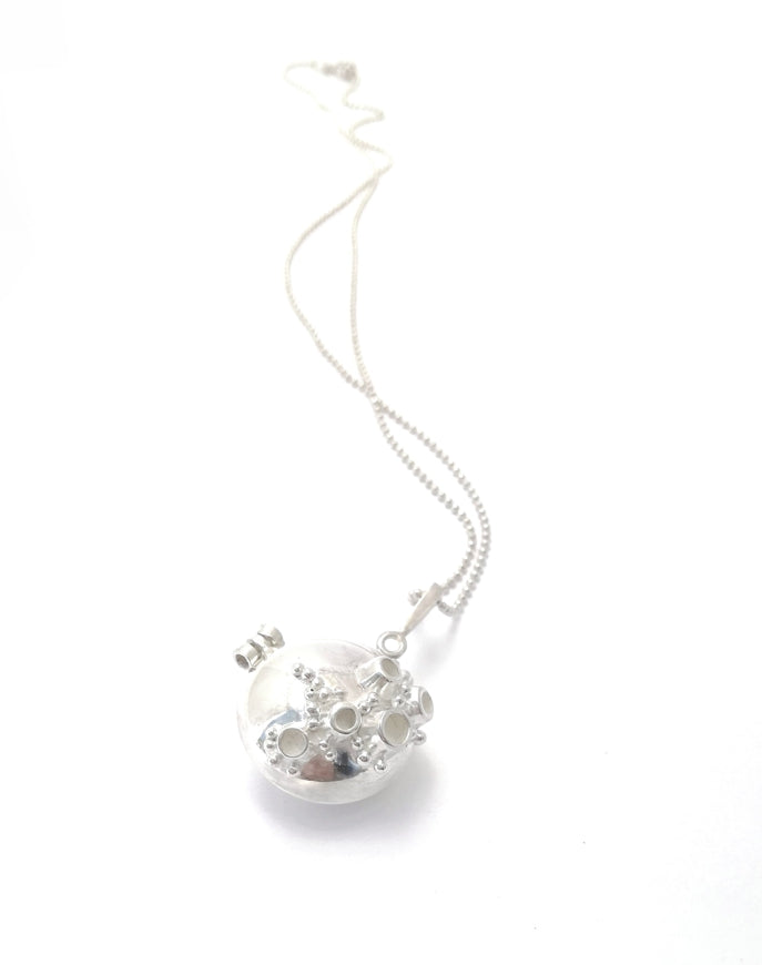 Hidden Treasures Locket
