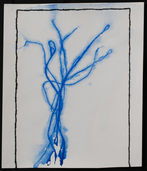Artwork- Polyp