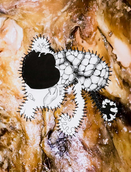Parasite II (like)