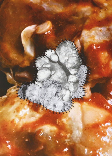 Parasite IX (to)