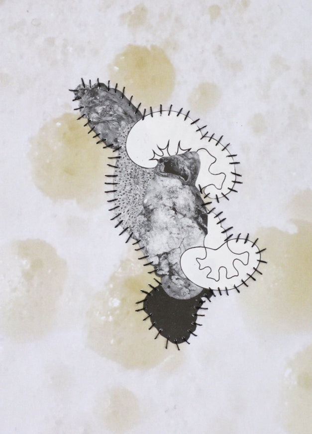 Parasite VII (stomach)