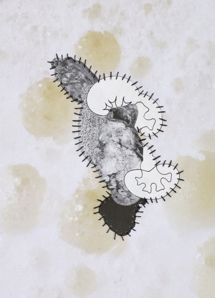 Parasite VII (stomach)