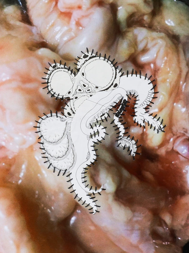 Parasite III (the)