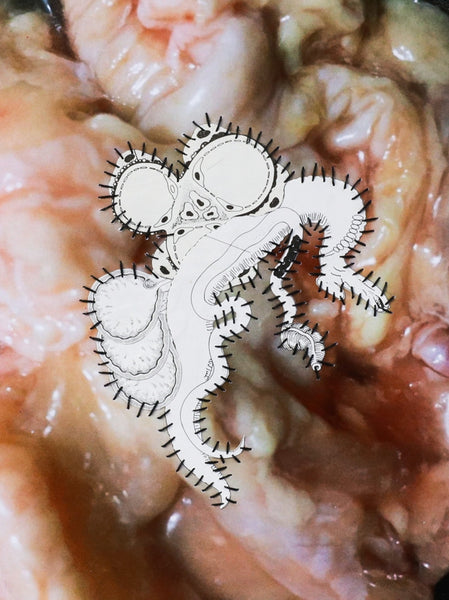 Parasite III (the)