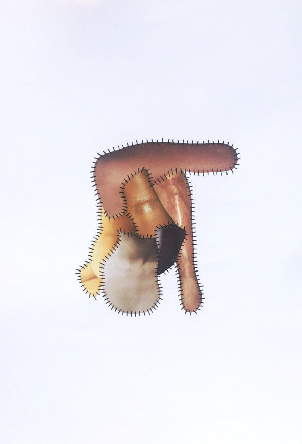 Fragmented Bodies I