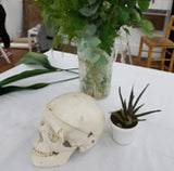 2026 Course 4 Painting - Portraits and Style -Saturday Morning