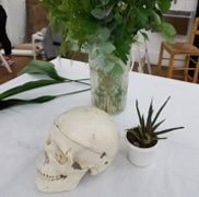 2026 Course 4 Painting - Portraits and Style -Saturday Morning