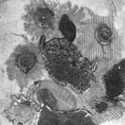 Teacher Workshop 2026 Printmaking COLLAGRAPH