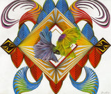 Winter School 2026 Art MAKE A COLLAGE