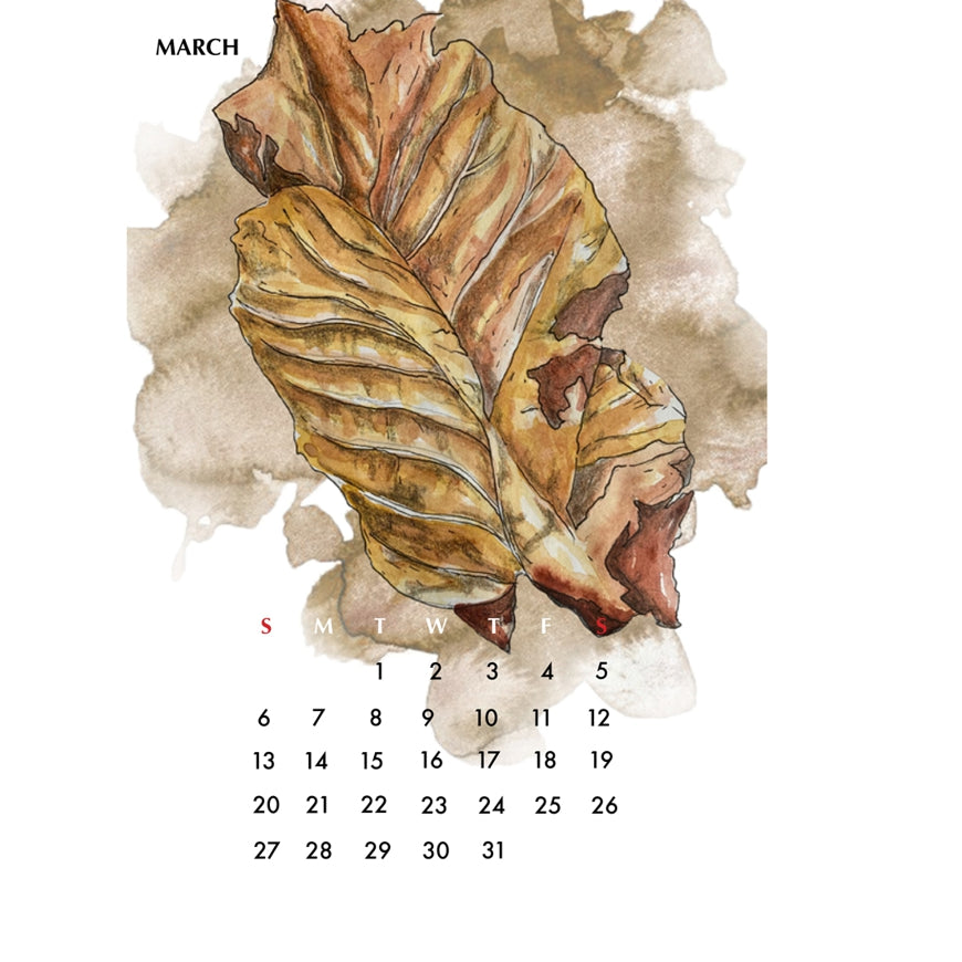 Page from Calender Design